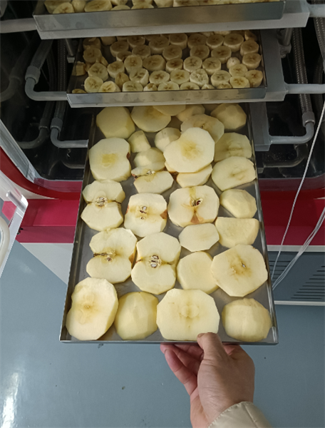 使用化妝品凍干機(jī)對(duì)面膜進(jìn)行凍干具體有哪些步驟？